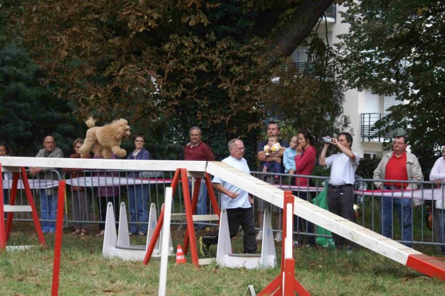 foire-haricots 2011-09-17et18